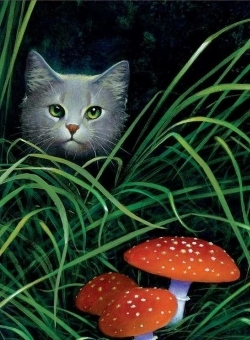 Holubitlapka / Dovewing – oficiální ilustrace Kočičí válečníci / Warriors