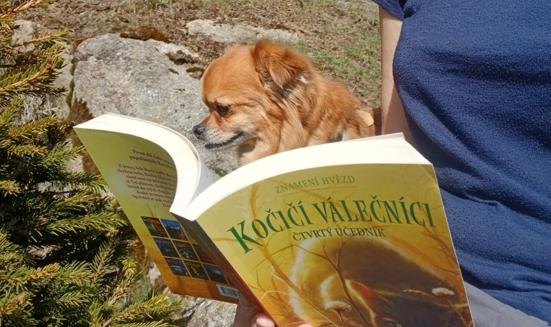 psí pohled na knihu Kočičí válečníci: Znamení hvězd - Čtvrtý učedník